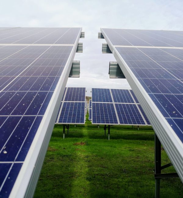 Installation de panneaux photovoltaïques sur terrain